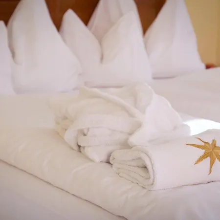 & Restaurant Stern 4* Gmund (Lower Austria)