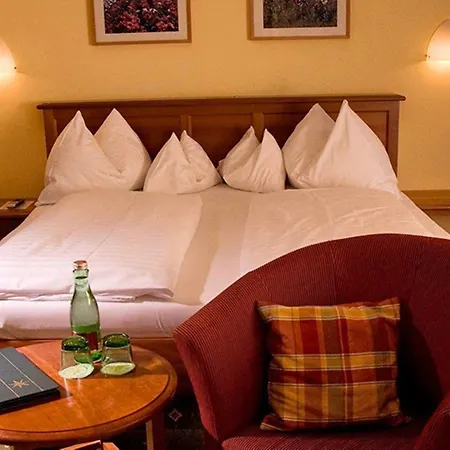 & Restaurant Stern 4* Gmund (Lower Austria)